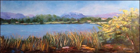 Laghetto di Sartirana in armonia con l'estate 
